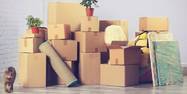 MOVING BOXES: HOW NOT TO MAKE A WRONG CHOICE?